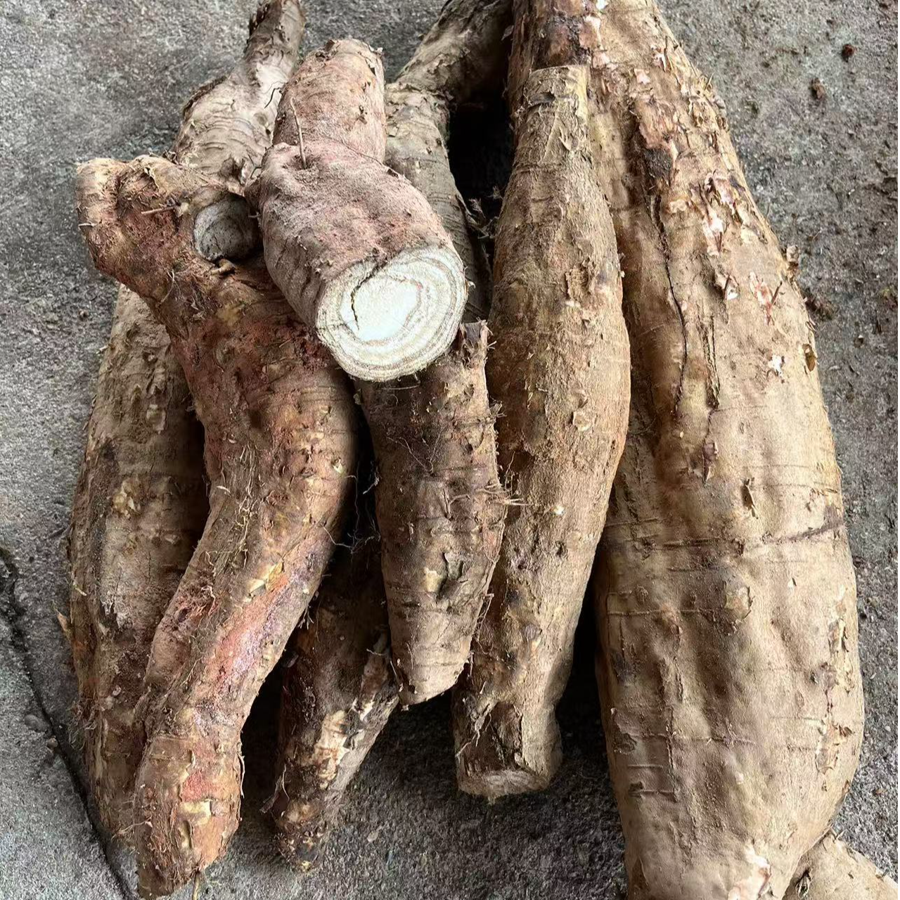 【新鲜葛根】深山野生葛根农产品做葛根粉煲汤蒸食切片泡水