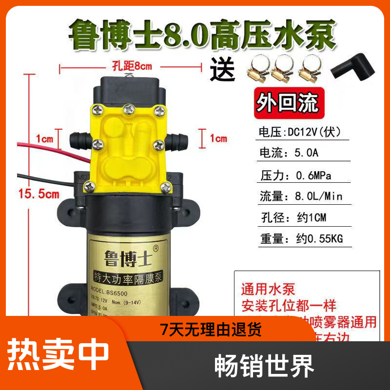 12v背负式电动喷雾器水泵大功率通用农用高压水泵打药喷雾神器