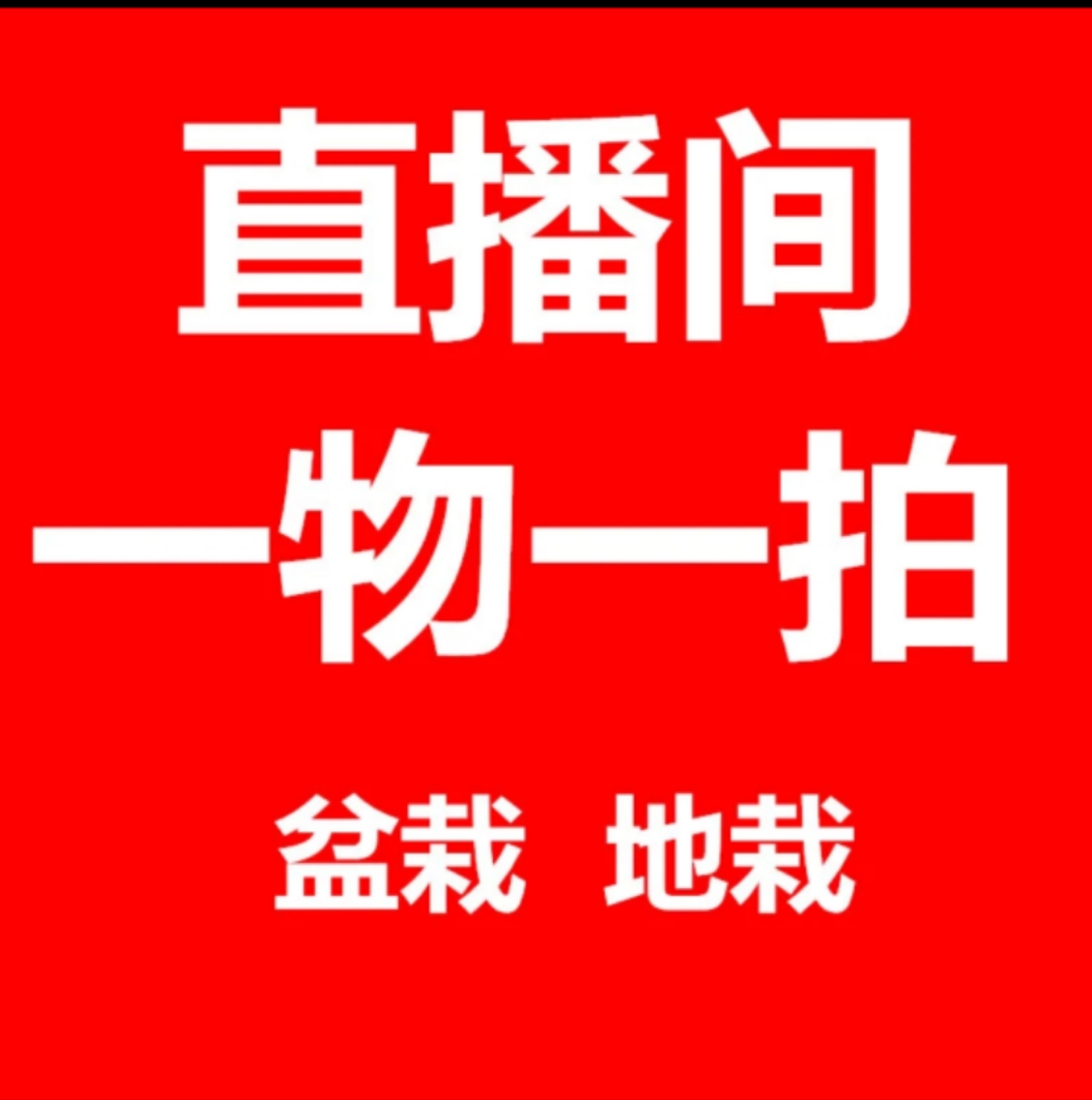 室内室外盆栽地栽