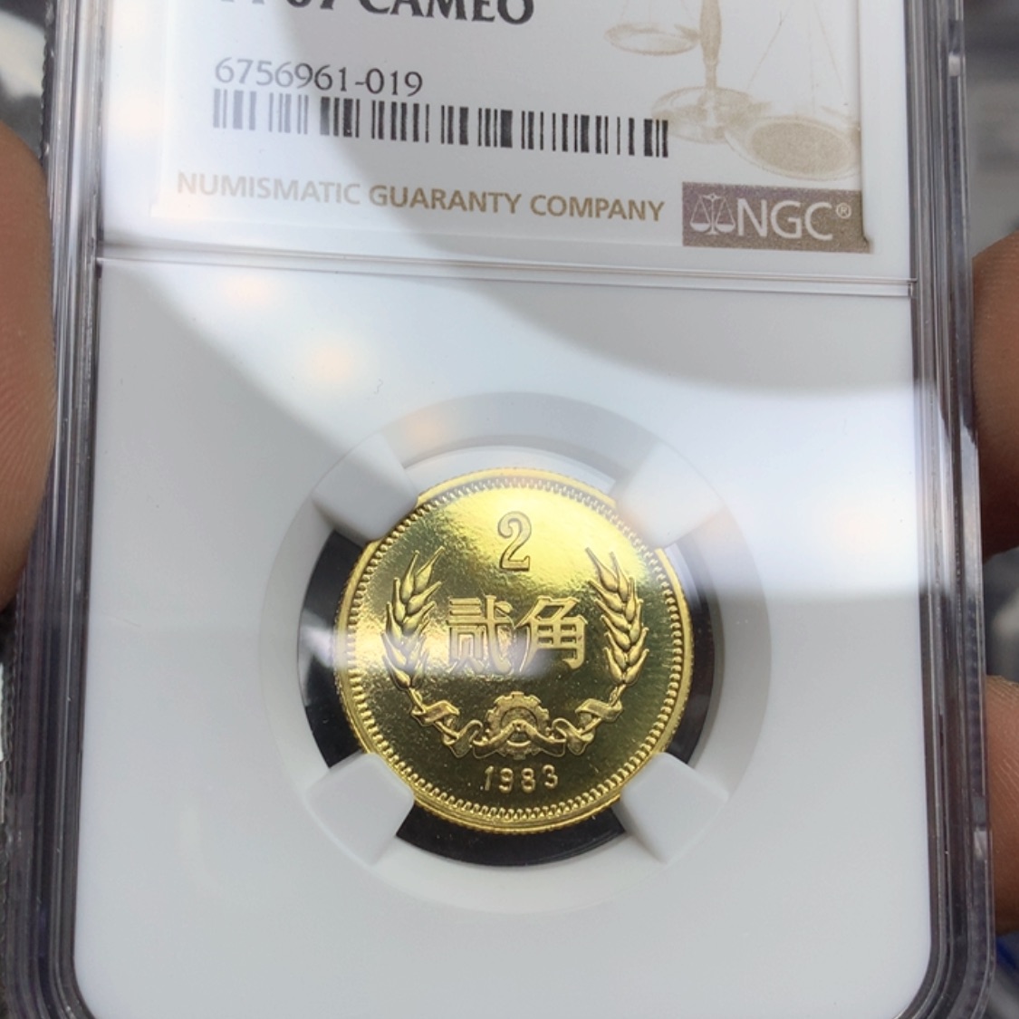 【闪购商品】杜*8302-67ca019