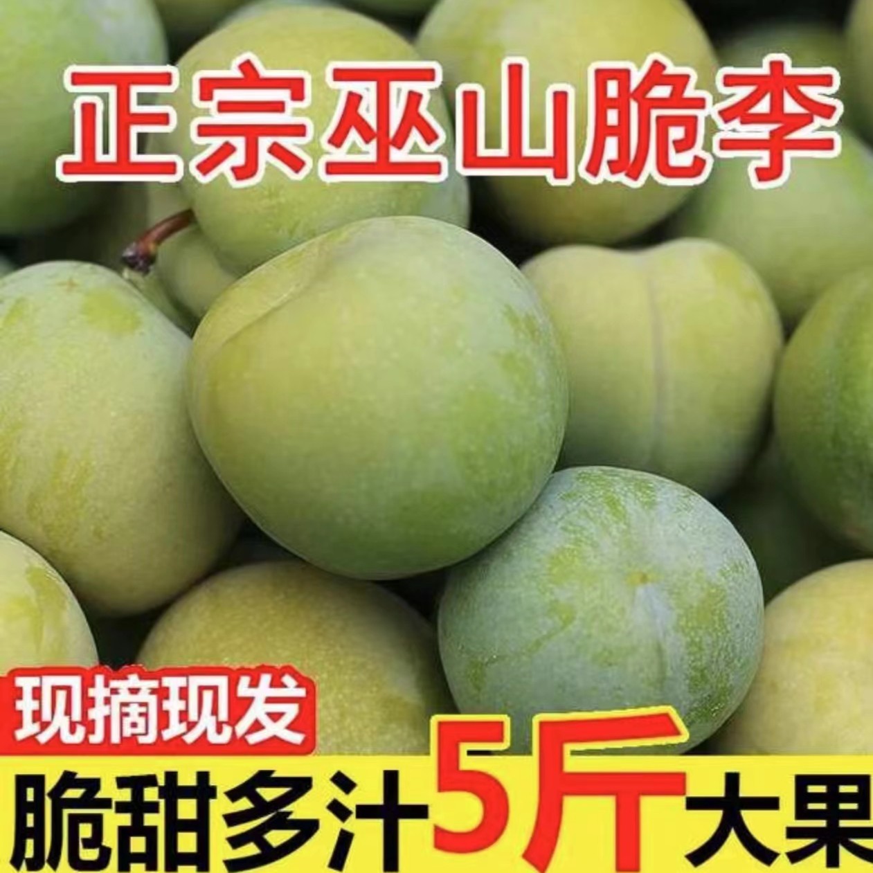 重庆巫山现摘现发脆甜多汁肉厚核小脆李顺丰1斤食用水果农产品