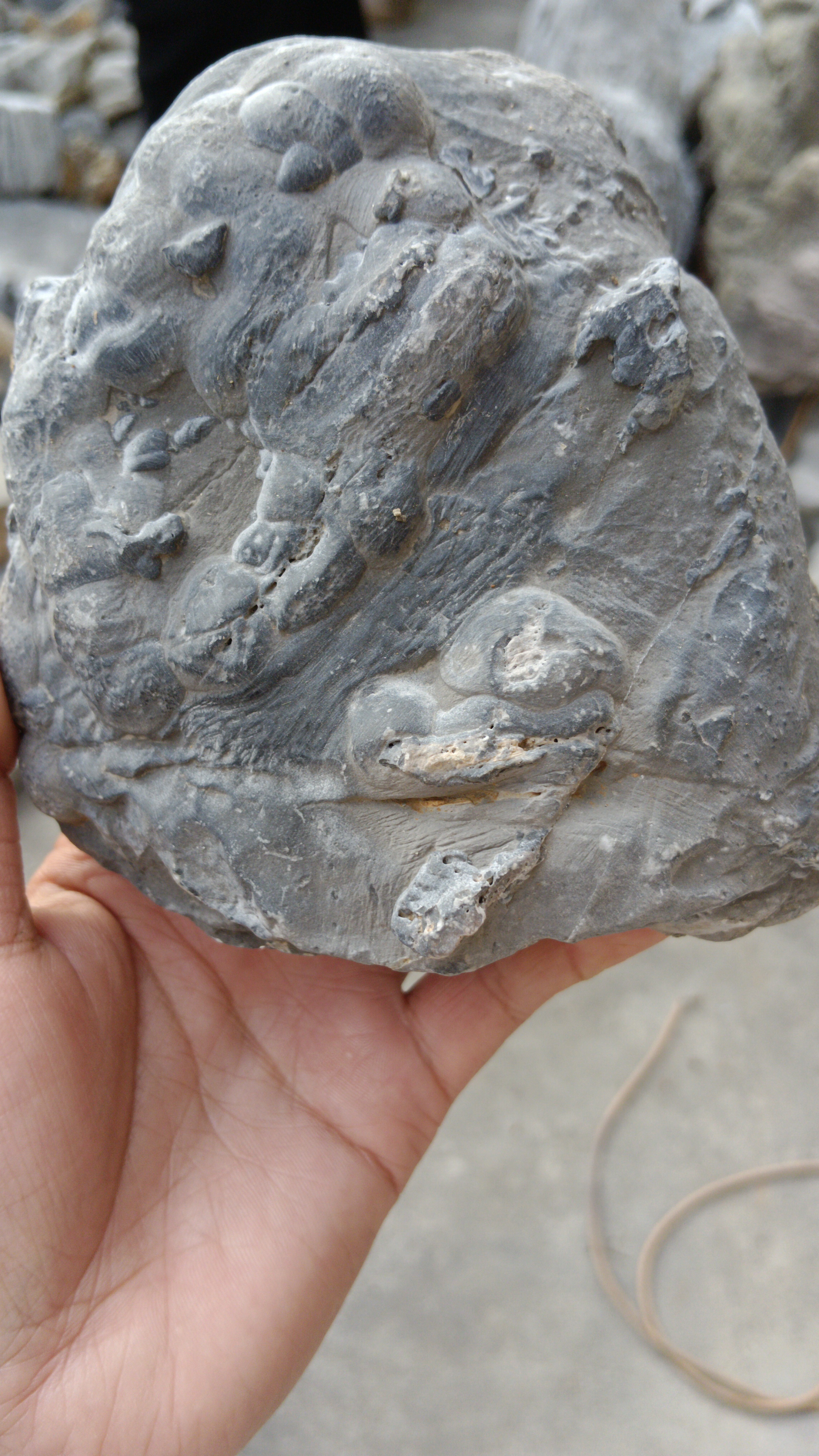 灵璧石一号链接仅供参拍