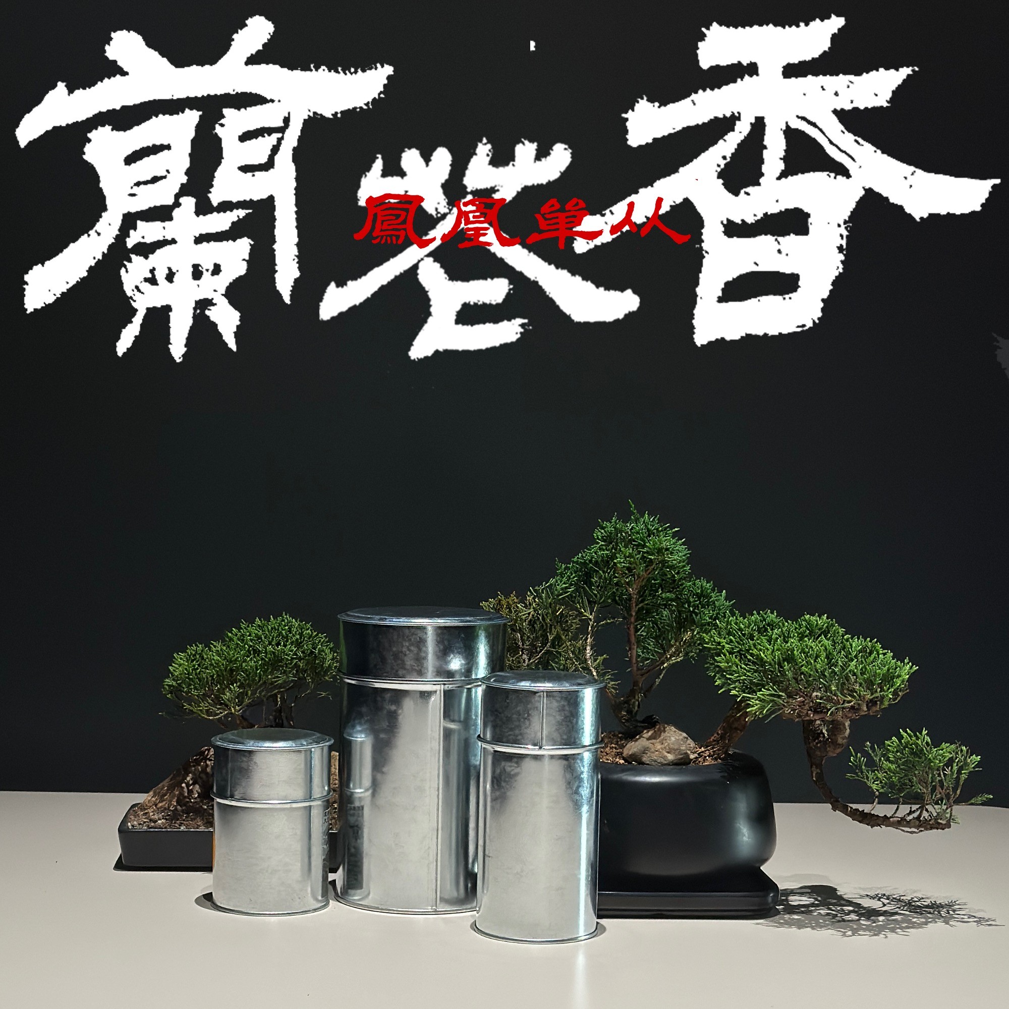 高香型【兰花香】凤凰单丛茶 兰花香突出 广东乌龙茶 花香高扬单枞