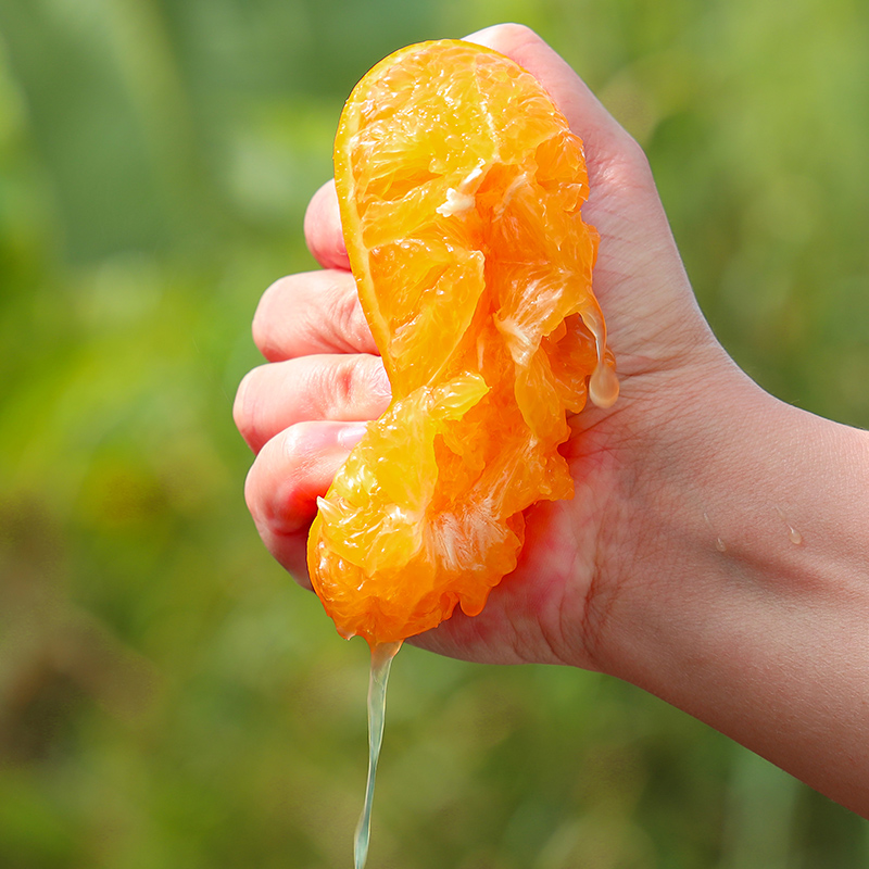 正宗四川爱媛38号果冻橙鲜摘现整箱包邮手剥橙子