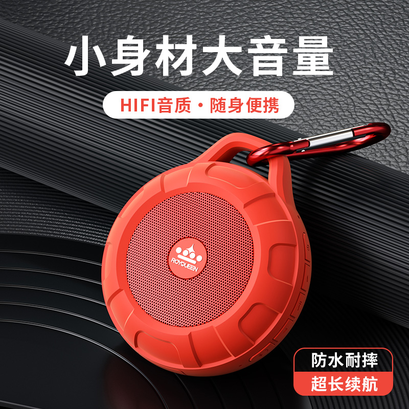 ROYQUEEN/朗琴T350防水迷你户外便携式蓝牙音响插卡FM收音机音箱