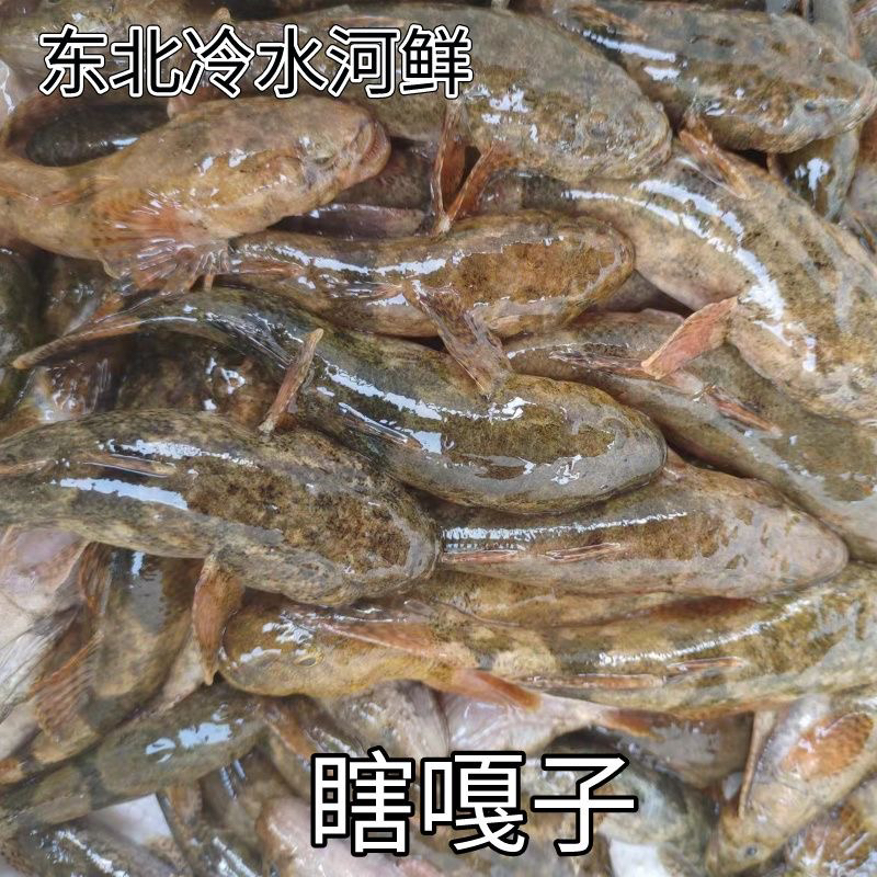 东北野生河鲜河鱼瞎噶哒鱼冰鲜发货