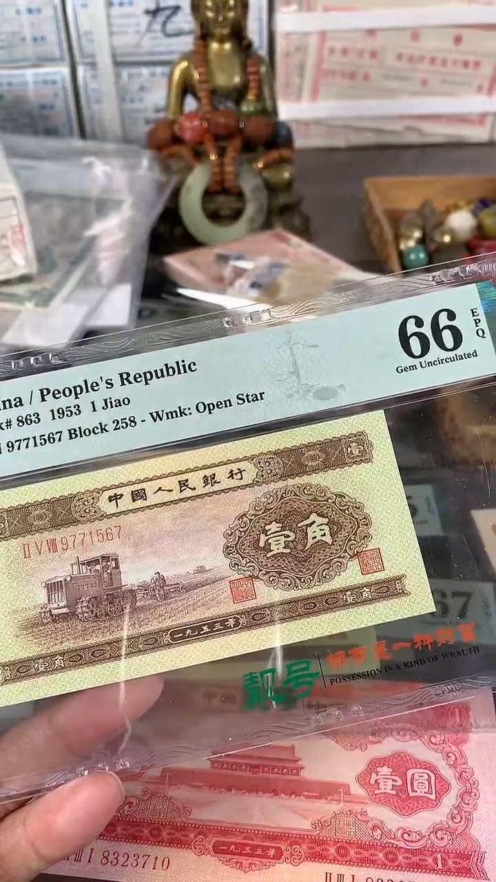 【闪购商品】黄一角尾567