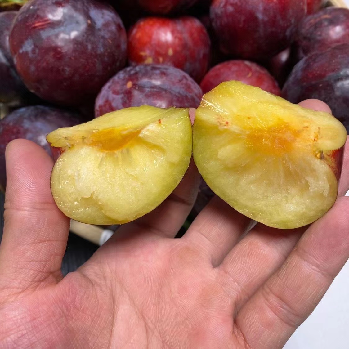 当季水果脱骨李子李子新鲜李子酸甜黑布朗产地直发