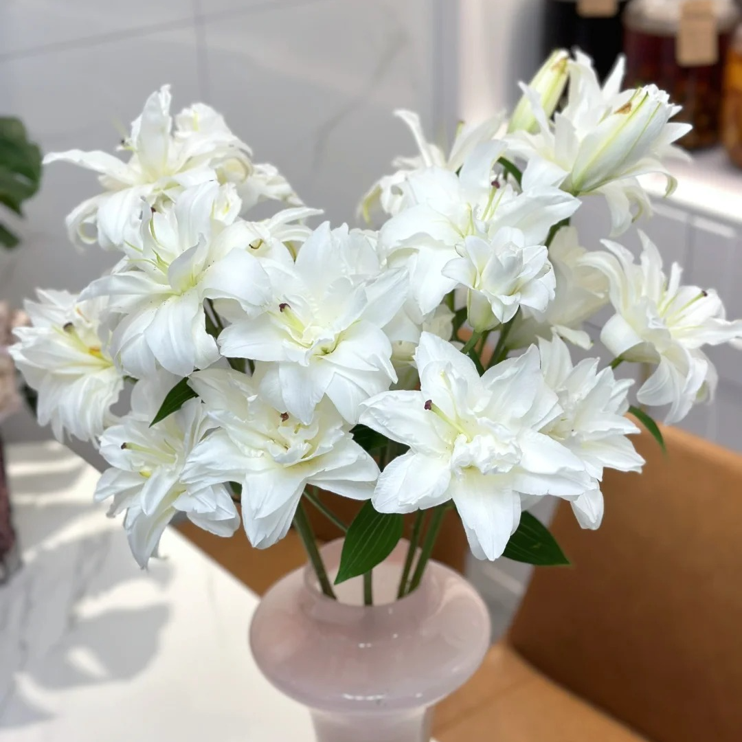 三岁花集-基地重瓣百合滑雪板 （一单顺丰冷链包邮）              