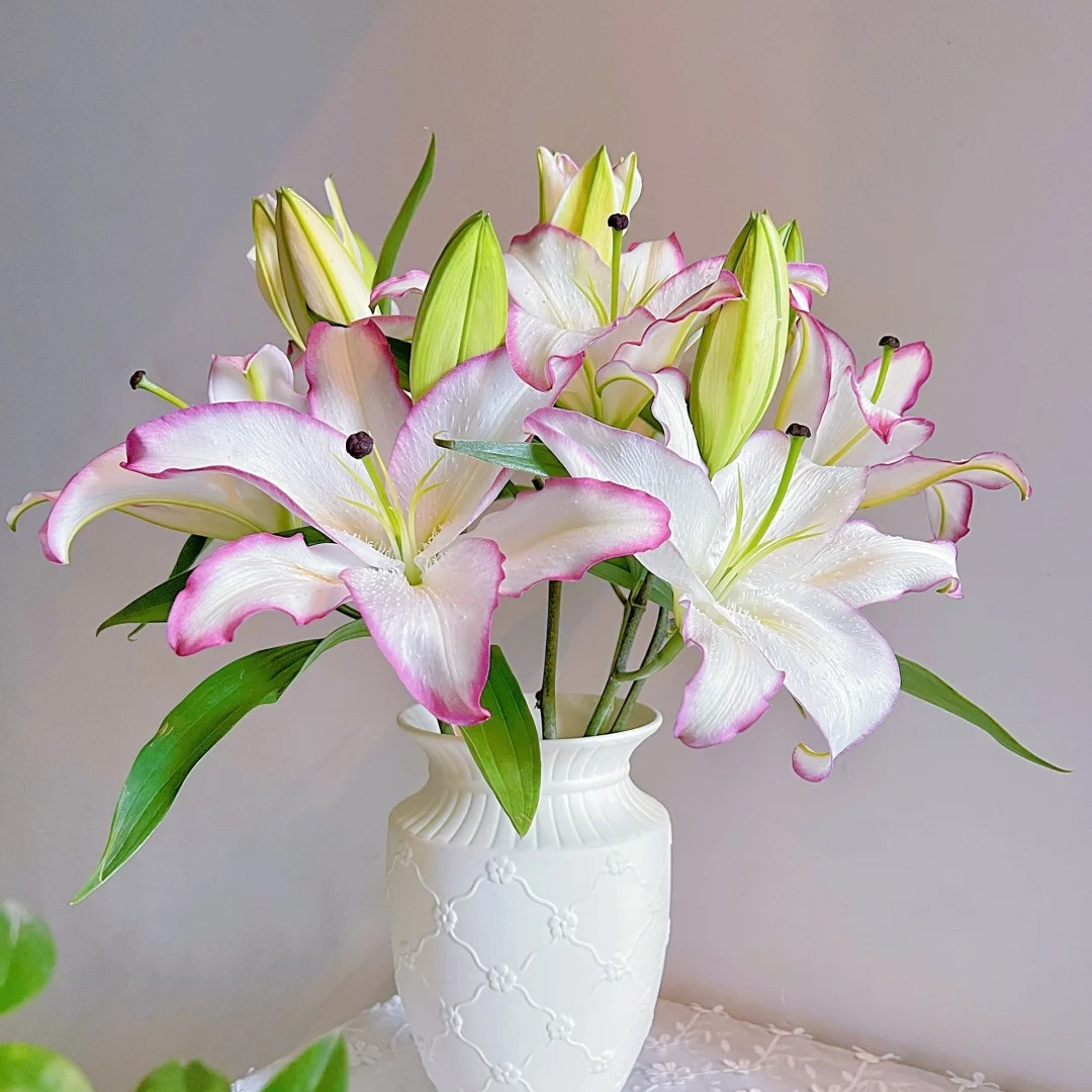 三岁花集-基地香水百合单瓣冰美人  （一单顺丰）