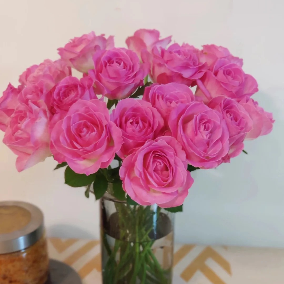 三岁花集-单头糖果雪山（一单顺丰冷链三单顺丰空运）     