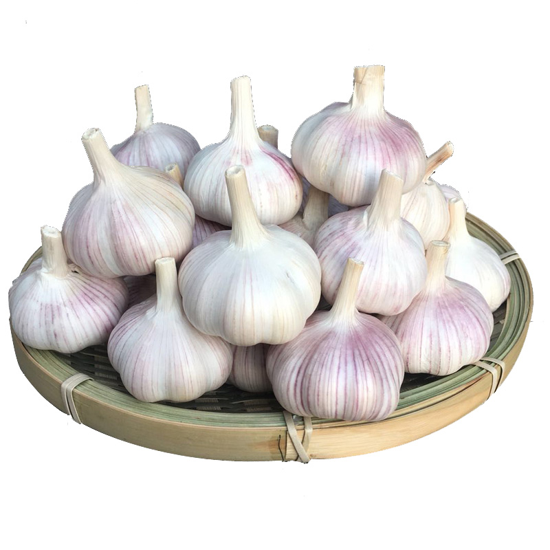 【小伍】河南农家干大蒜头2023年蒜头低价干蒜/新鲜紫皮白皮蔬菜