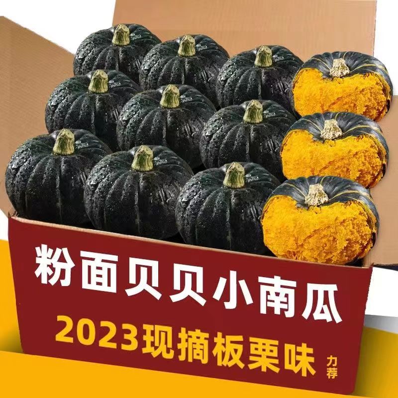 正宗贝贝南瓜板栗味迷你小南瓜粉糯香甜软孕妇宝宝辅食内蒙老南瓜