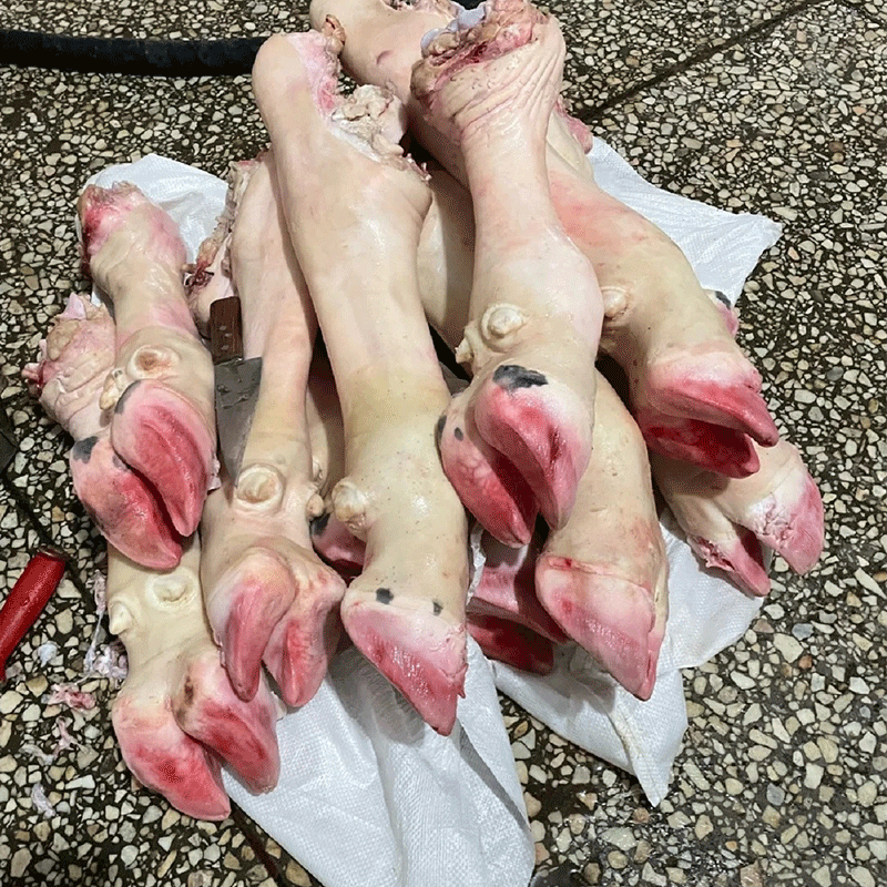 【牛脚】新鲜现切牛脚贵州高山小黄牛凉都黄牛肉散养小黄牛
