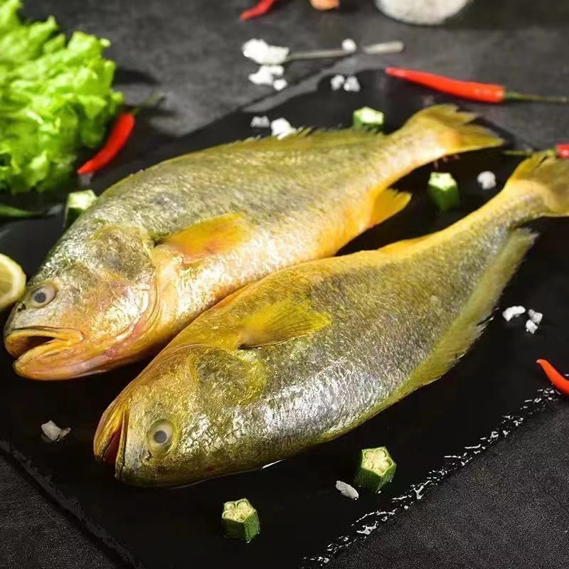 新鲜捕捞黄花鱼4条  每条350g-450g 码头直发 共3斤鲜鱼速冻发货
