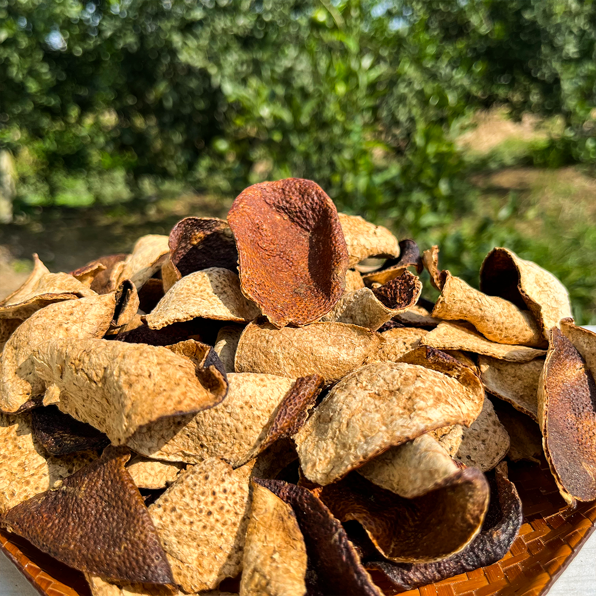 【新人专属福利】2018年天马圈枝大红皮断皮 