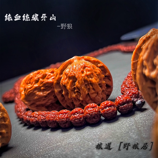 文玩核桃把件，正宗纯血统狼牙山，野狼，骨质天花板，打手感强烈