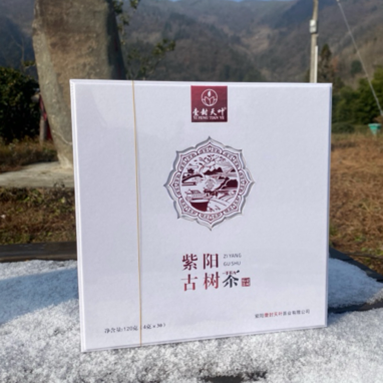 双桥镇特产-壹封天叶红茶（紫阳古树茶）