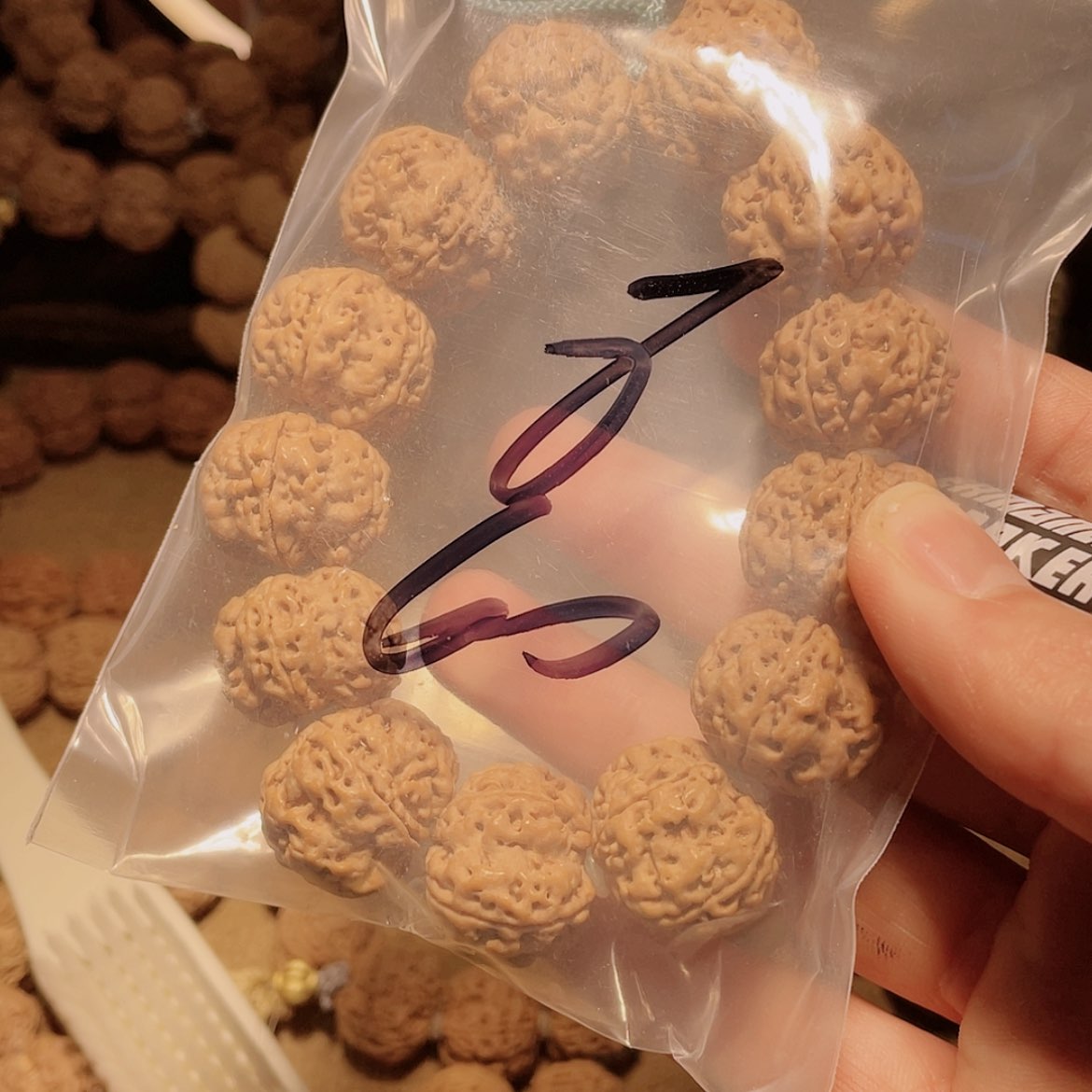 【闪购商品】金刚菩提吊坠超***我8