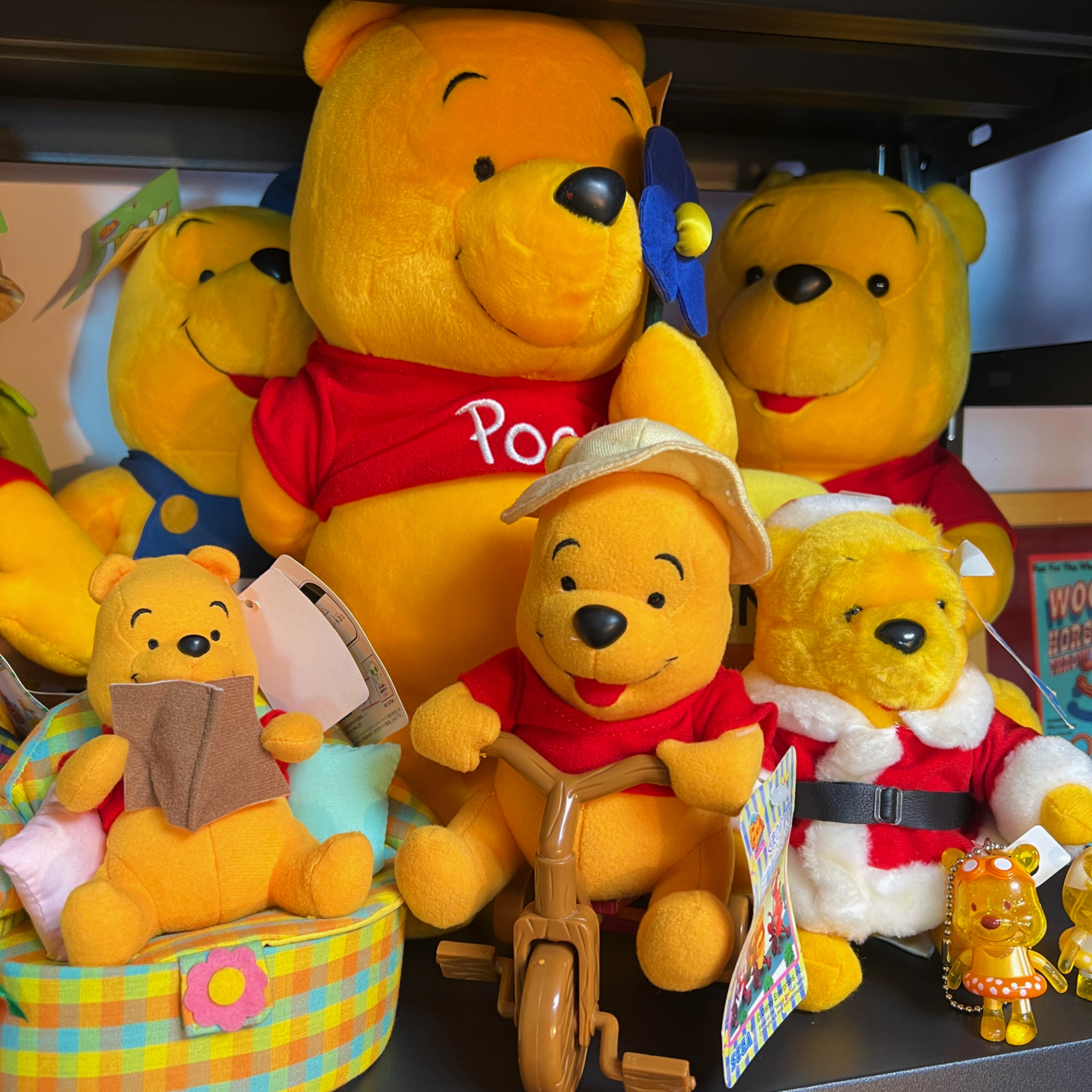 破烂王中古毛绒玩具（1-20）