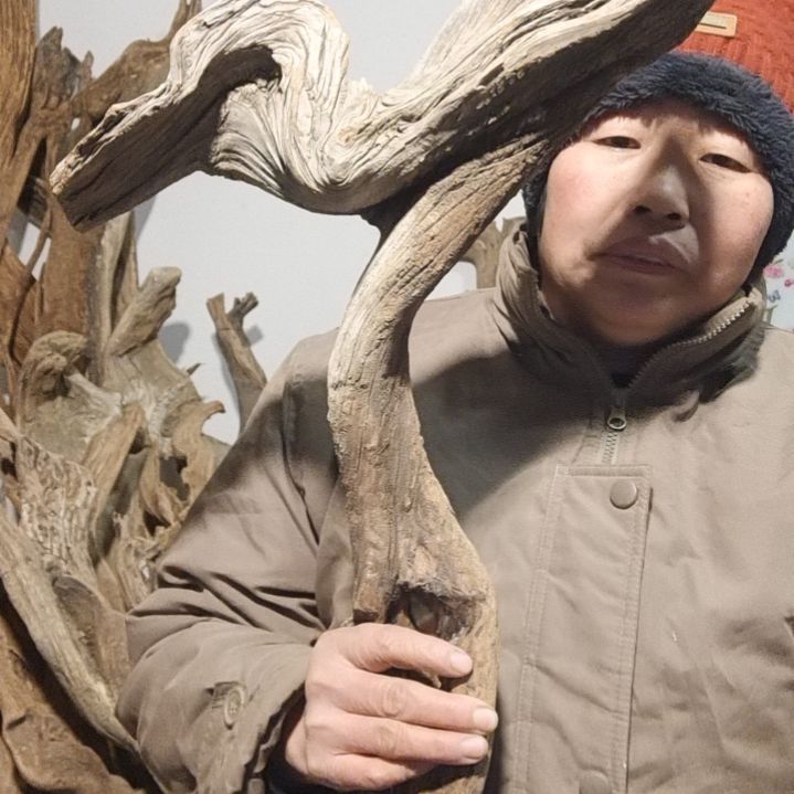 【闪购商品】木根雕꧁**꧂