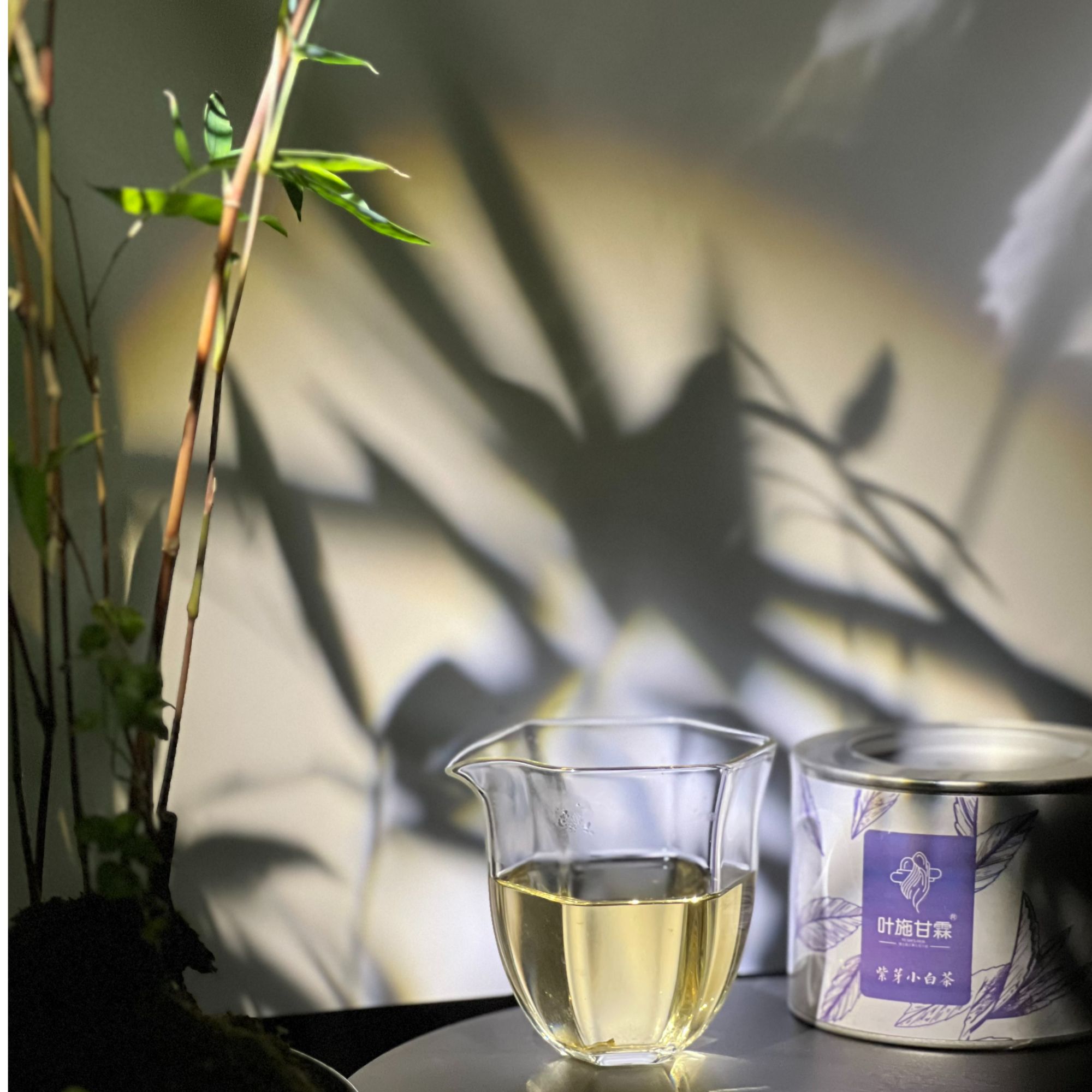 叶施甘霖 2020年紫芽小白 幽幽花香 茶汤醇厚顺滑 口齿留香