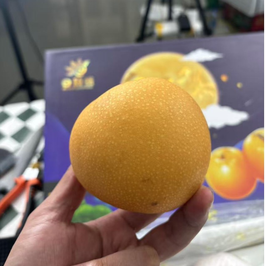 【鹤山专属】秋月梨礼包装  约6斤/箱