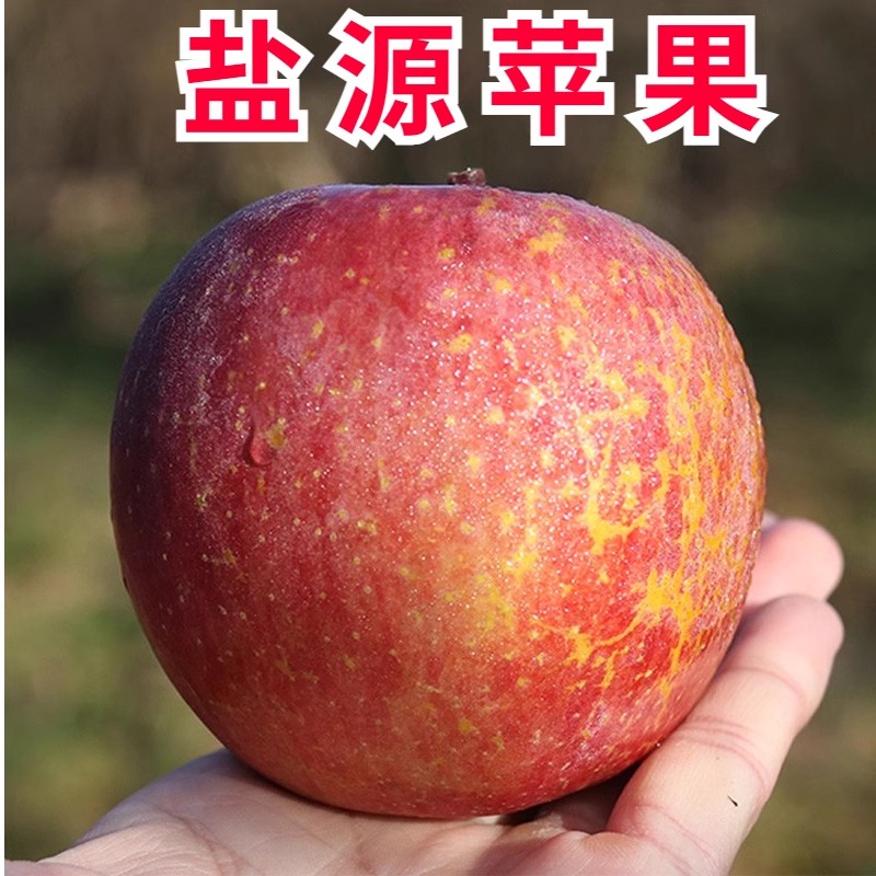 【高山老树】四川大凉山盐源县丑苹果脆甜多汁5斤8斤装甜现摘现发