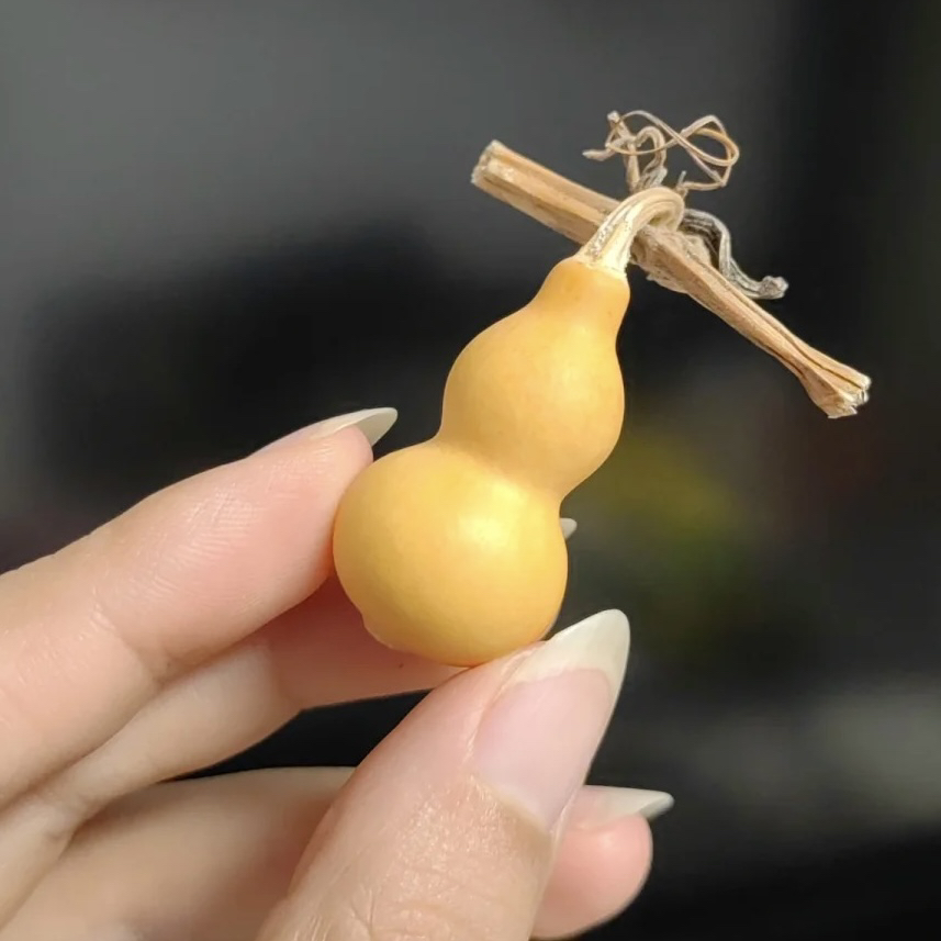 单个草里金小葫芦（直播专属链接）非直播勿拍