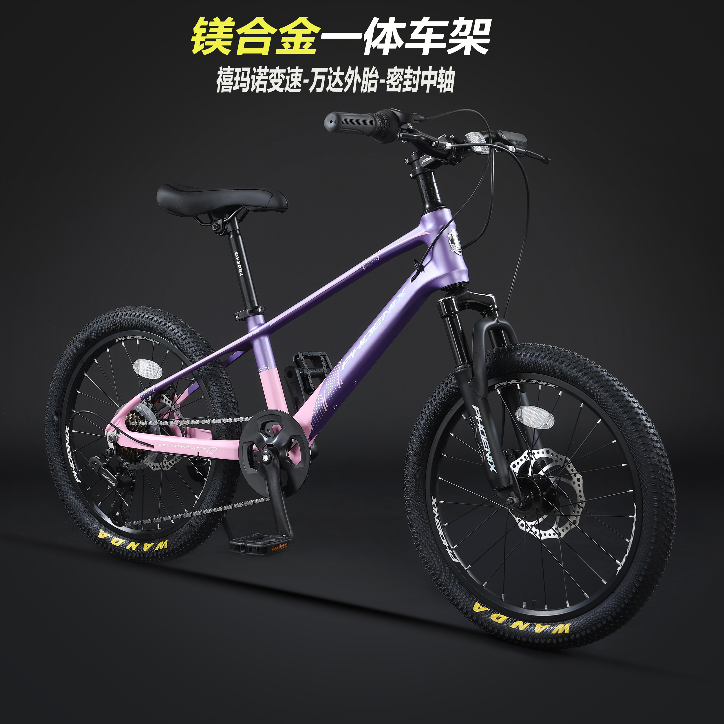 凤凰牌儿童山地自行车镁合金20/22寸男女变速青少年学生骑行单车