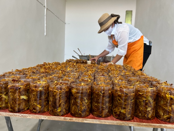 盈江贺勐温泉油黄笋油焖笋油炸笋（1斤/2斤）