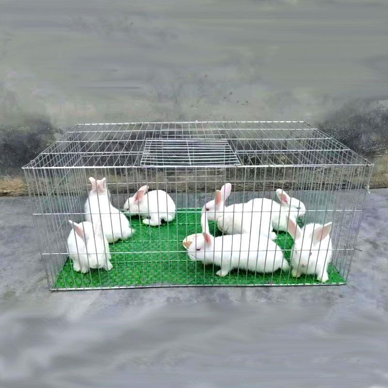 加粗加密兔笼子鸽子养殖笼鸡笼家用鹌鹑笼铁丝镀锌笼组装笼运输笼
