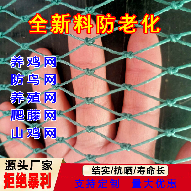 家禽养殖网鸡网阳台多股尼龙网防鸟网爬藤网耐用防逃围网果园天网