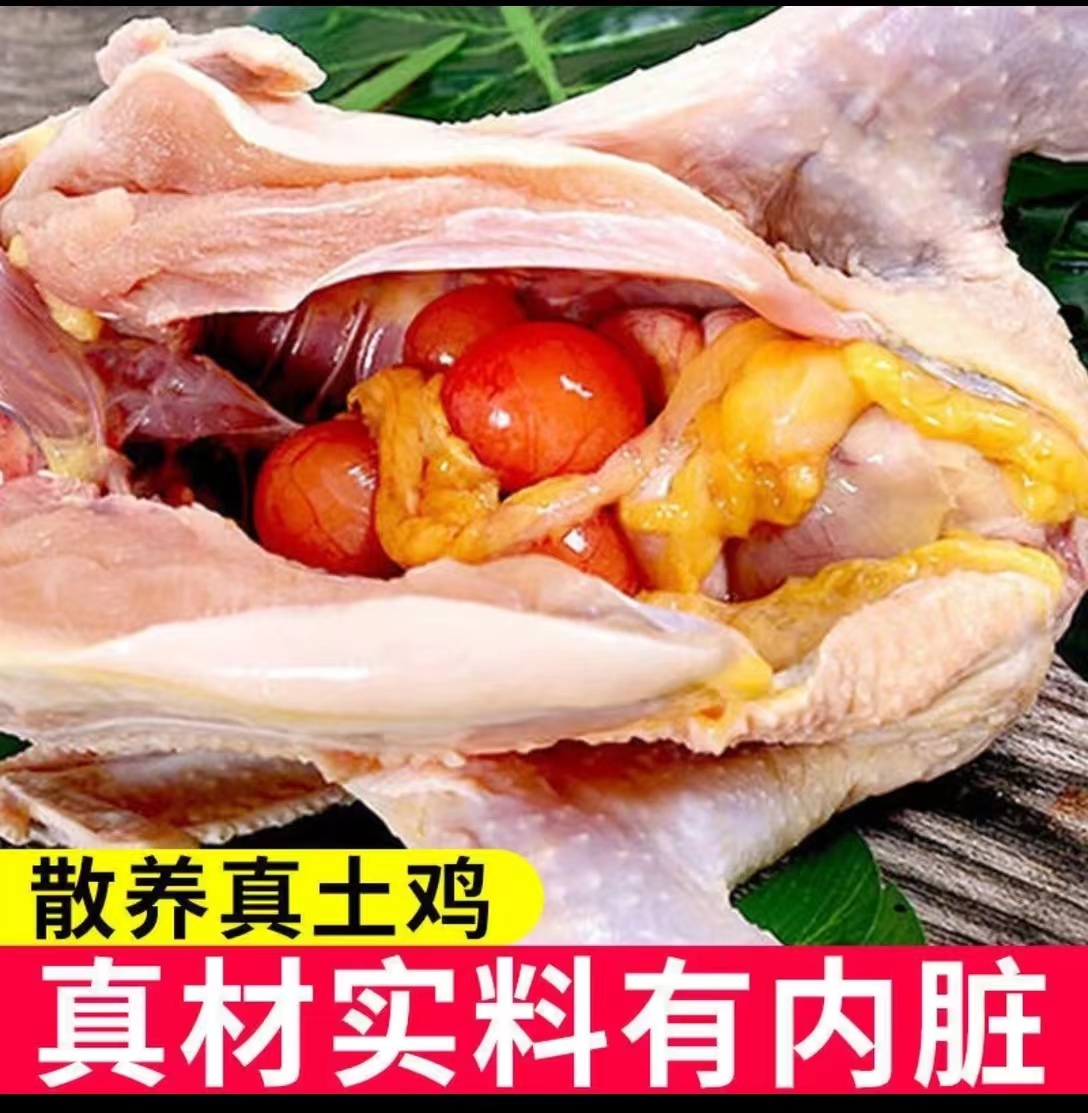 农村正宗散养小草鸡母鸡顺丰包邮