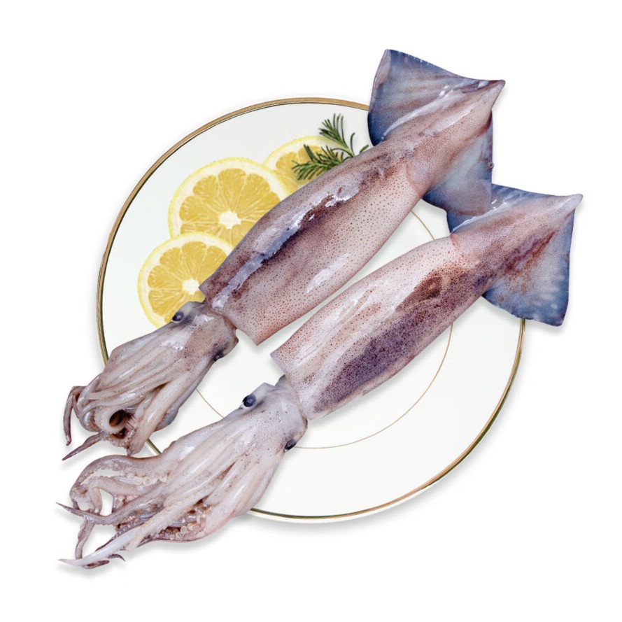 【鲜】鱿鱼1条约400g