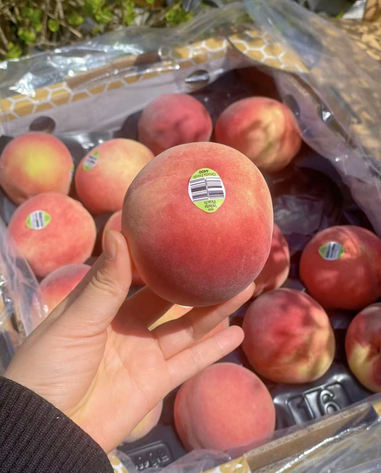 【壹壹生鲜同城配送】澳洲水蜜桃（1颗）