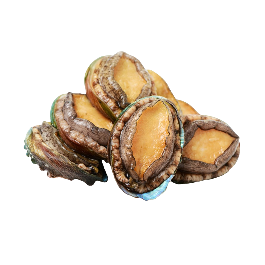 鲜活鲍鱼190-215g/份（5-7个/份）