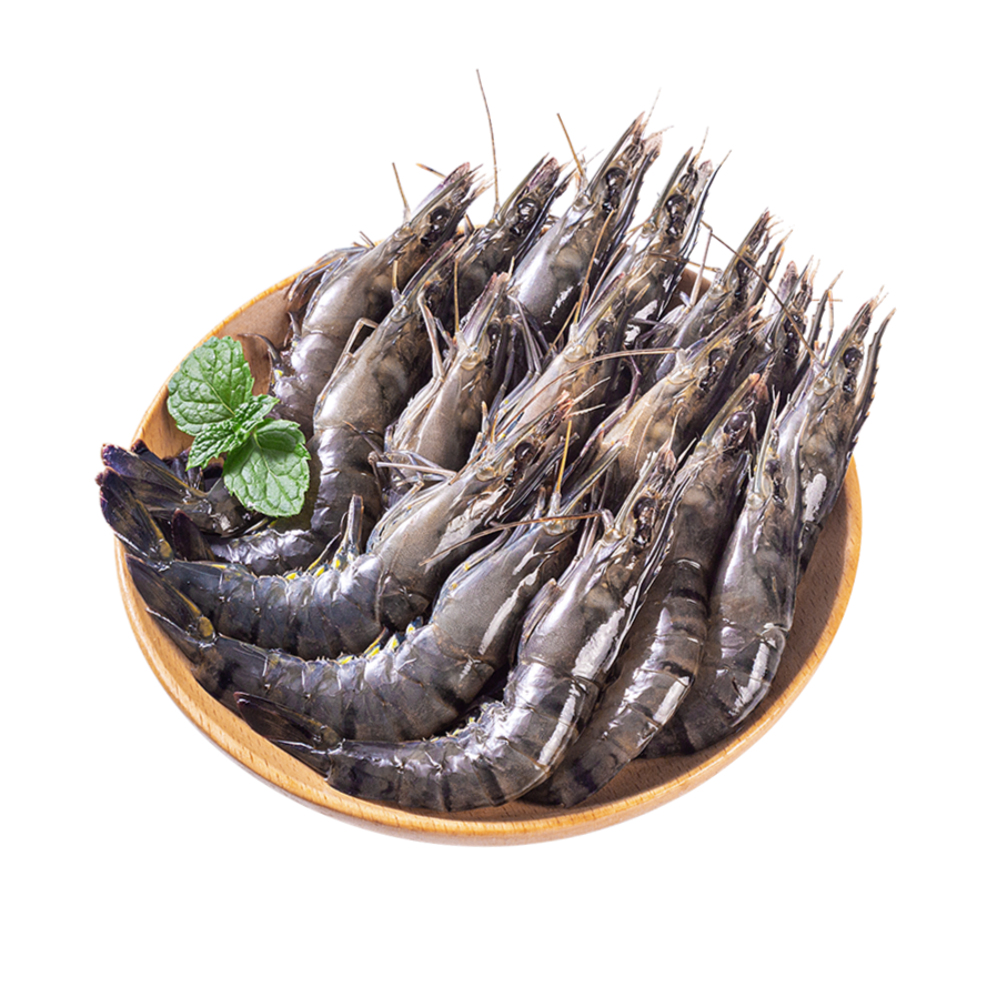 【福厦武】鲜活黑虎虾草虾250g±9g/份