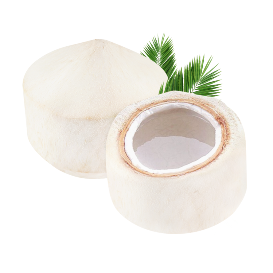 泰国进口香水椰青大果900g±15g/个（不开口）