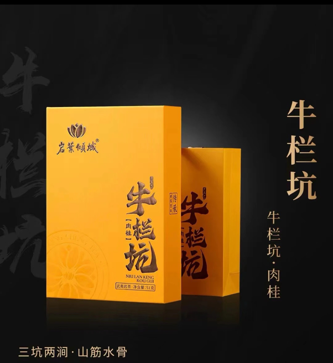岩叶倾城牛栏坑肉桂武夷岩茶核心正岩山场51g（8.5g*6泡）礼盒装