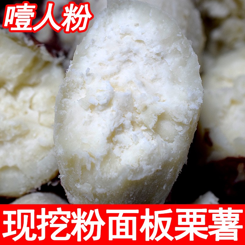 新鲜现挖河南红皮白心板栗红薯白瓤地瓜粉面老品种白薯香甜香糯