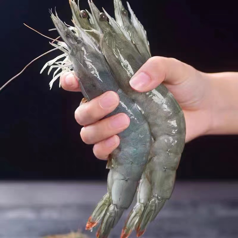 小妮家  单只盐冻  虾肉干净  海水大虾20/30规格 500克 新鲜冷冻