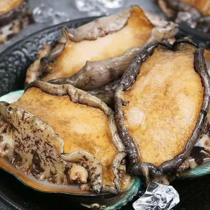 冷冻大连鲍鱼 塑封包装 4-8只装 顺丰包邮（20%冰衣）