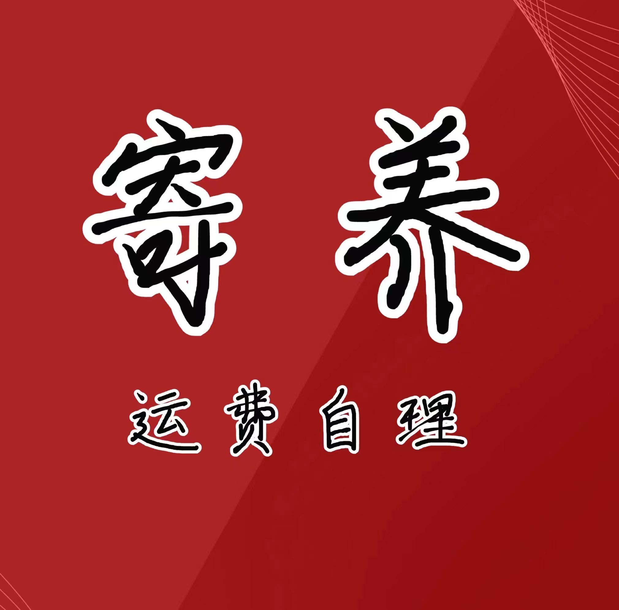 寄养：海岛春花 海岛石枫 海岛栀子花