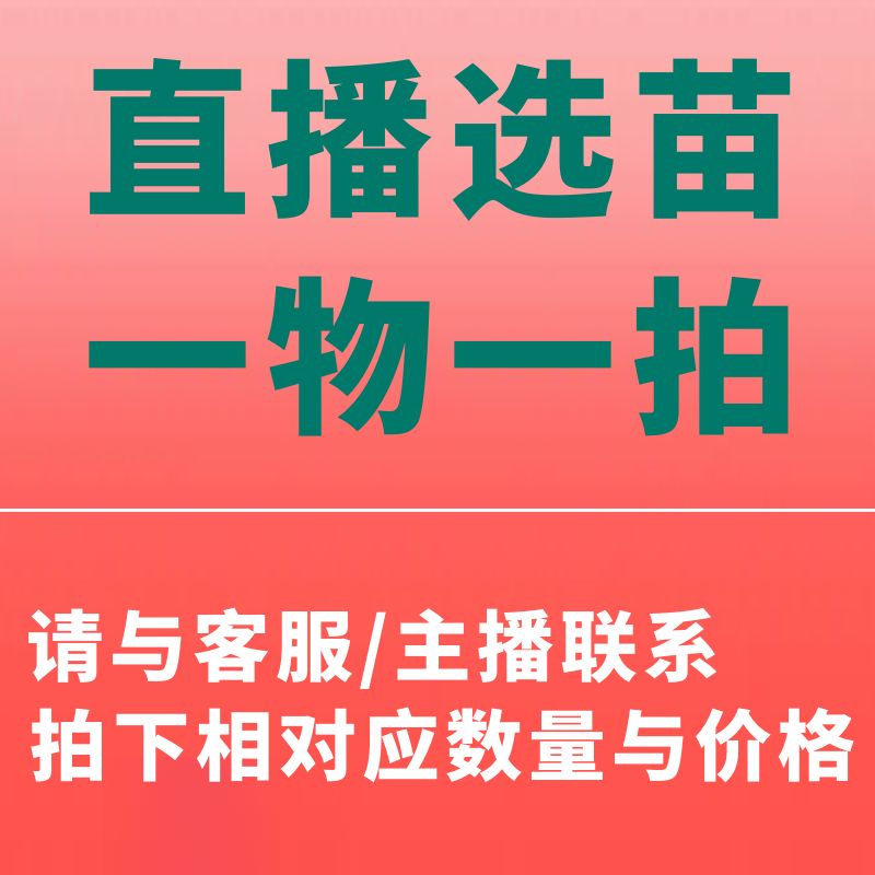 各类南方果树苗 直播间 一物一拍