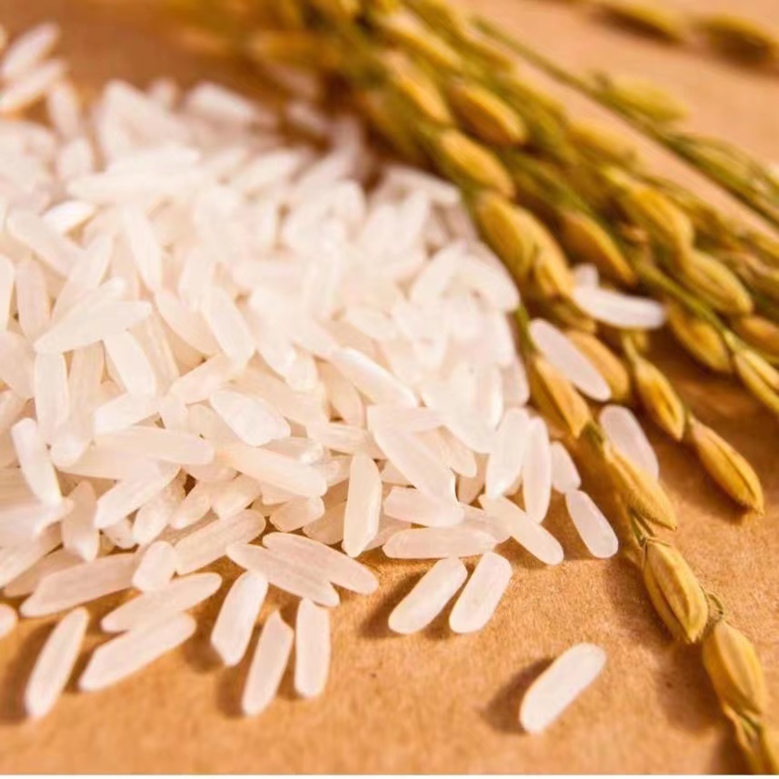 到手700克东北珍珠m  食品商家补贴 【非发姜茶】