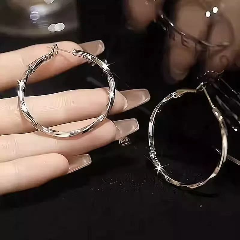 钛钢耳饰 新款 简约风 轻奢个性气质耳环 时尚百搭 925银饰耳饰