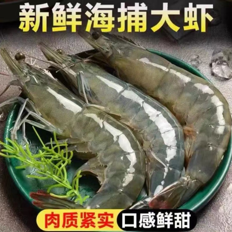 【小米推荐】新鲜海洋大虾 13-16cm/只 净重4斤 连云港发货60-70只