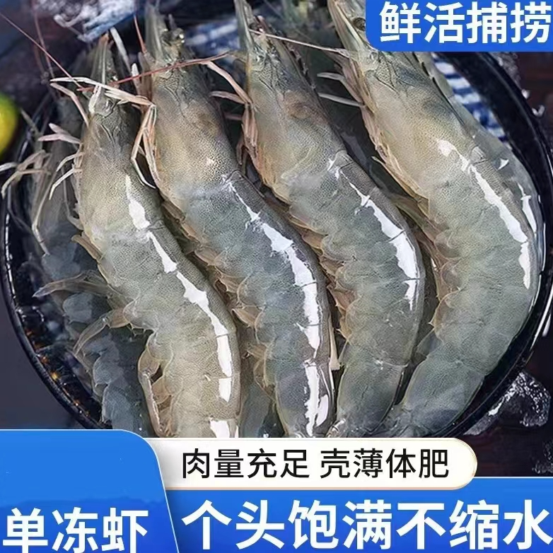 【小米推荐】新鲜速冻海洋大虾 13-16cm/只 净重4斤 连云港 60-70只