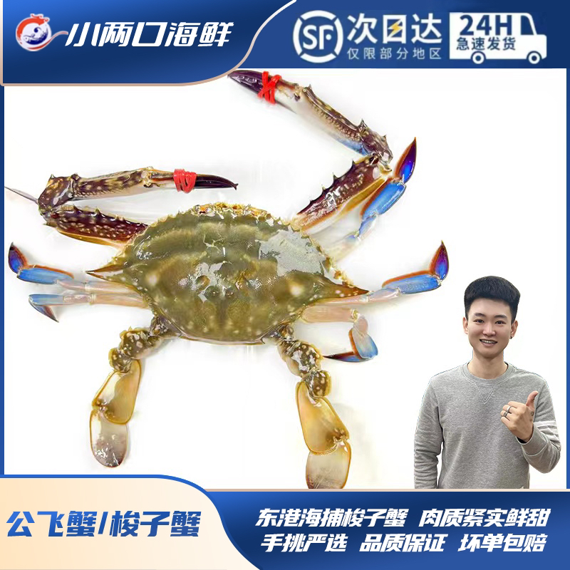 【保鲜不保活】东港海捕公飞蟹/梭子蟹2斤起拍单只3两起易断腿